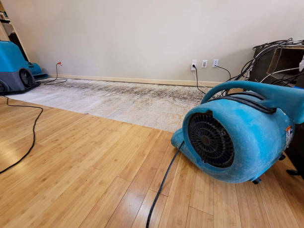 Professional Water Damage Repair technician working in Nahant, MA